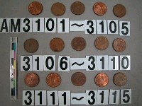 藏品(美國1分硬幣)的圖片